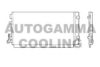 AUTOGAMMA 105465 Condenser, air conditioning